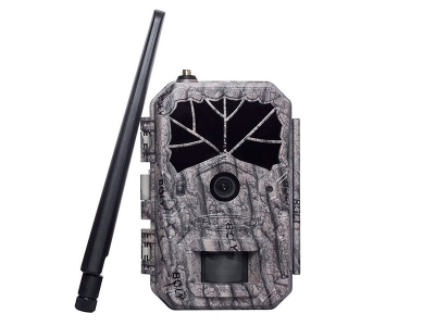 Фотоловушка BolyGuard BG636-48M