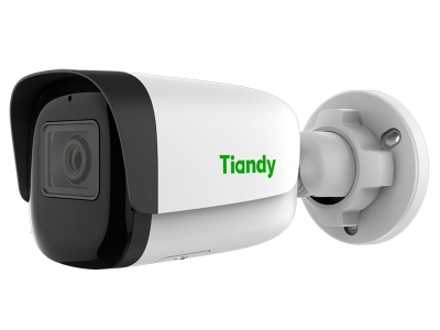 Камера Tiandy TC-C38WS