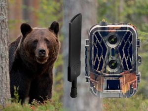 Фотоловушка HC-950 Pro-Li: две камеры для идеальной съемки днём и ночью