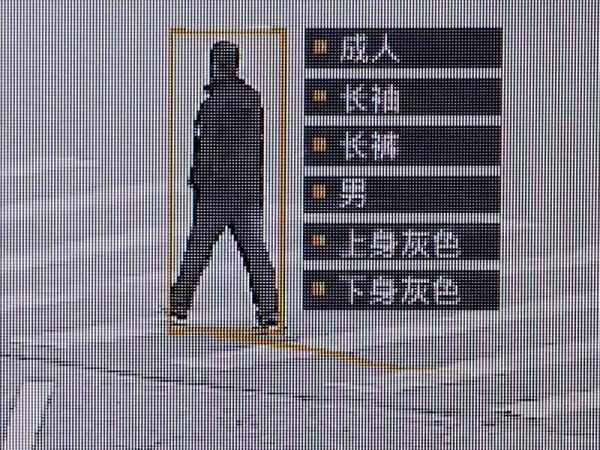 Идентификация по походке в Китае